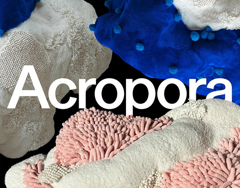 Два человека пострадали при налете БПЛА в Брянской области